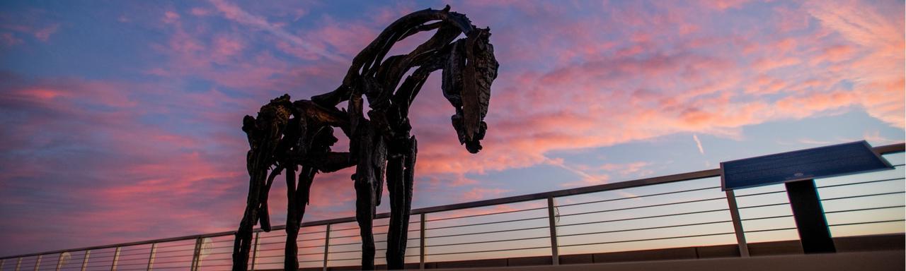 Horse sculpture on fifth floor of DCIH